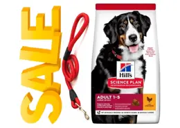 מזון לכלבים בוגרים מגזעים גדולים הילס סיינס פלאן עוף