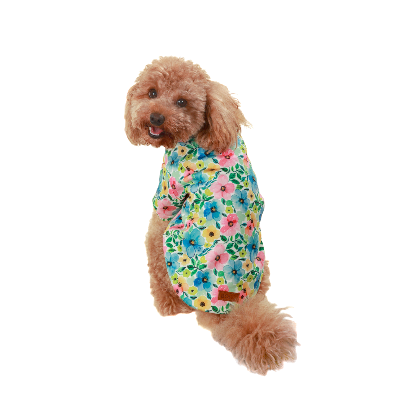 מבצע חורף! 20% הנחה על בובו טריינינג פרחים לכלב - גודל לבחירה 