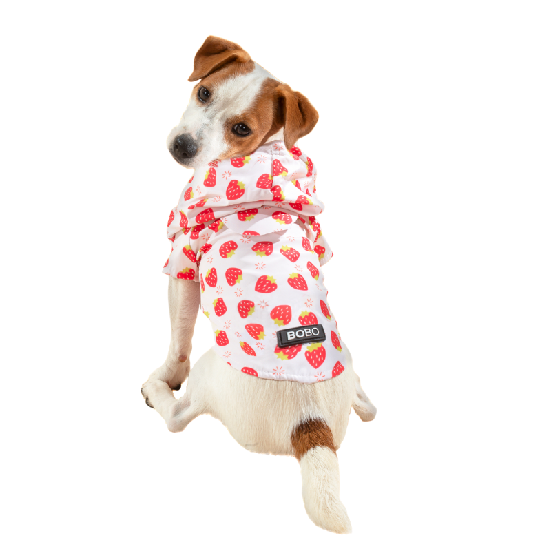 מבצע חורף! 20% הנחה על בובו מעיל גשם תותים לכלב - גודל לבחירה