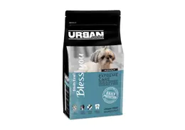 אורבן צ'ויס בוגר גזע קטן דגים