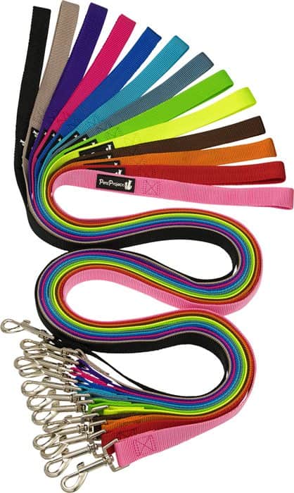 רצועה בייסיק 10מ"מ XS - מגוון צבעים לבחירה