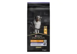 פרו פלאן אוכל כלב פעיל \ כלבות הרות ומניקות