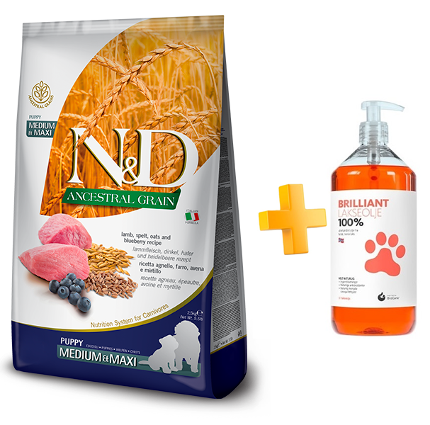 מבצע! ND אנסס מזון לכלב גור בינוני\גדול כבש ואוכמניות + שמן סלמון במתנה!