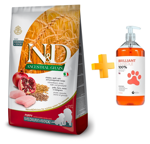 מבצע! ND אנסס מזון לכלב גור בינוני\גדול עוף ורימון + שמן סלמון במתנה!