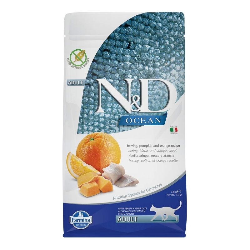 ND OCEAN הרינג דלעת ותפוז לחתול בוגר