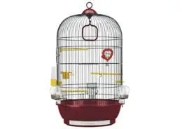 פרפלסט כלוב לציפורים דגם דיווה