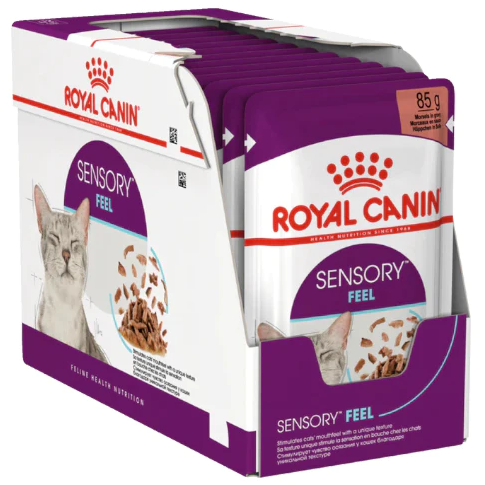 מארז 12 יחידות רויאל קנין פאוץ' לחתול סנסורי פיל ברוטב