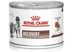 מארז 12 יחידות רויאל קנין רפואי שימורי ריקברי לכלבים וחתולים