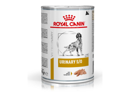 מגש (12יח) מזון רפואי לכלב שימורי רויאל קנין יורינרי