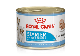 מגש 12 יחידות רויאל קנין שימורי סטארטר לאם ולגורים