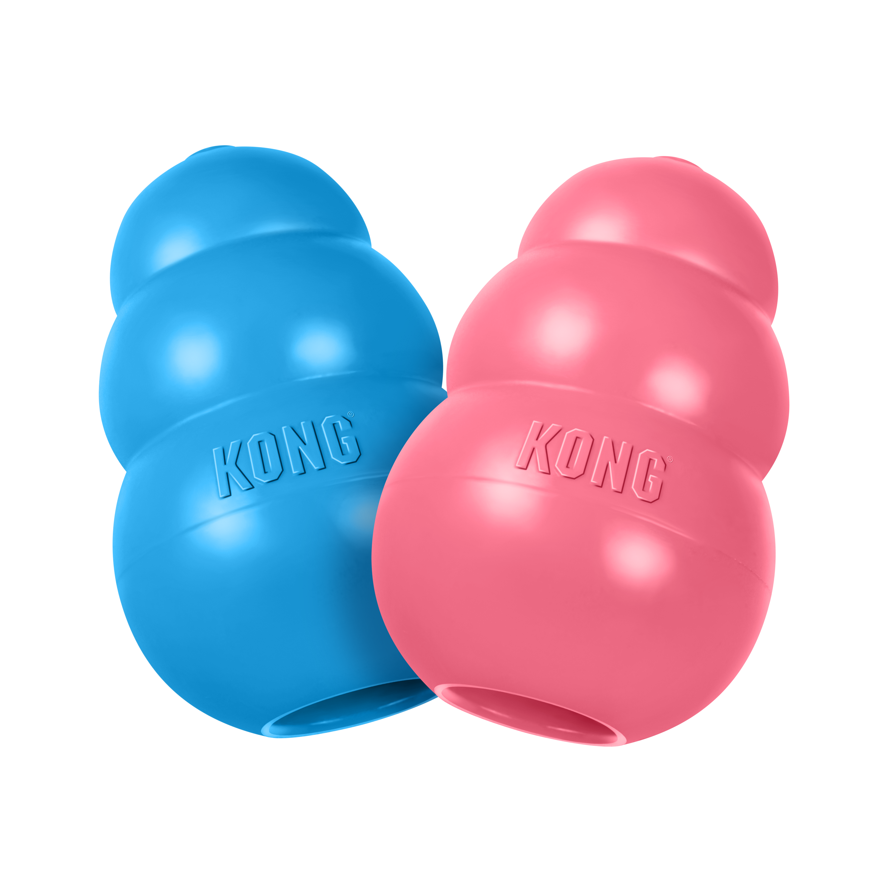 קונג צעצוע לגורים 