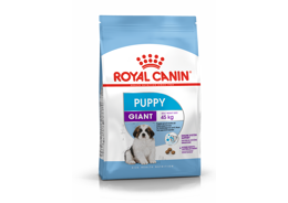 רויאל קנין מזון לגורי כלבים מגזע ענק