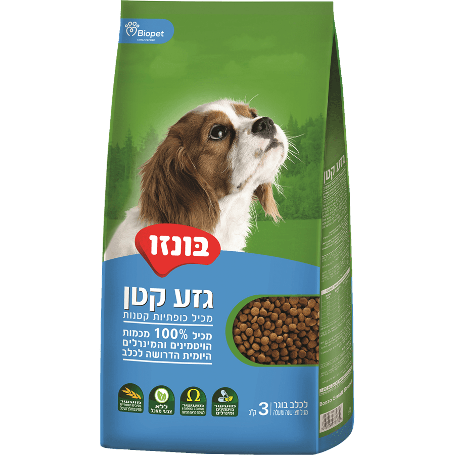 בונזו בוגר גזע קטן