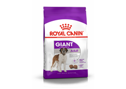 רויאל קנין מזון לכלב בוגר מגזע ענק