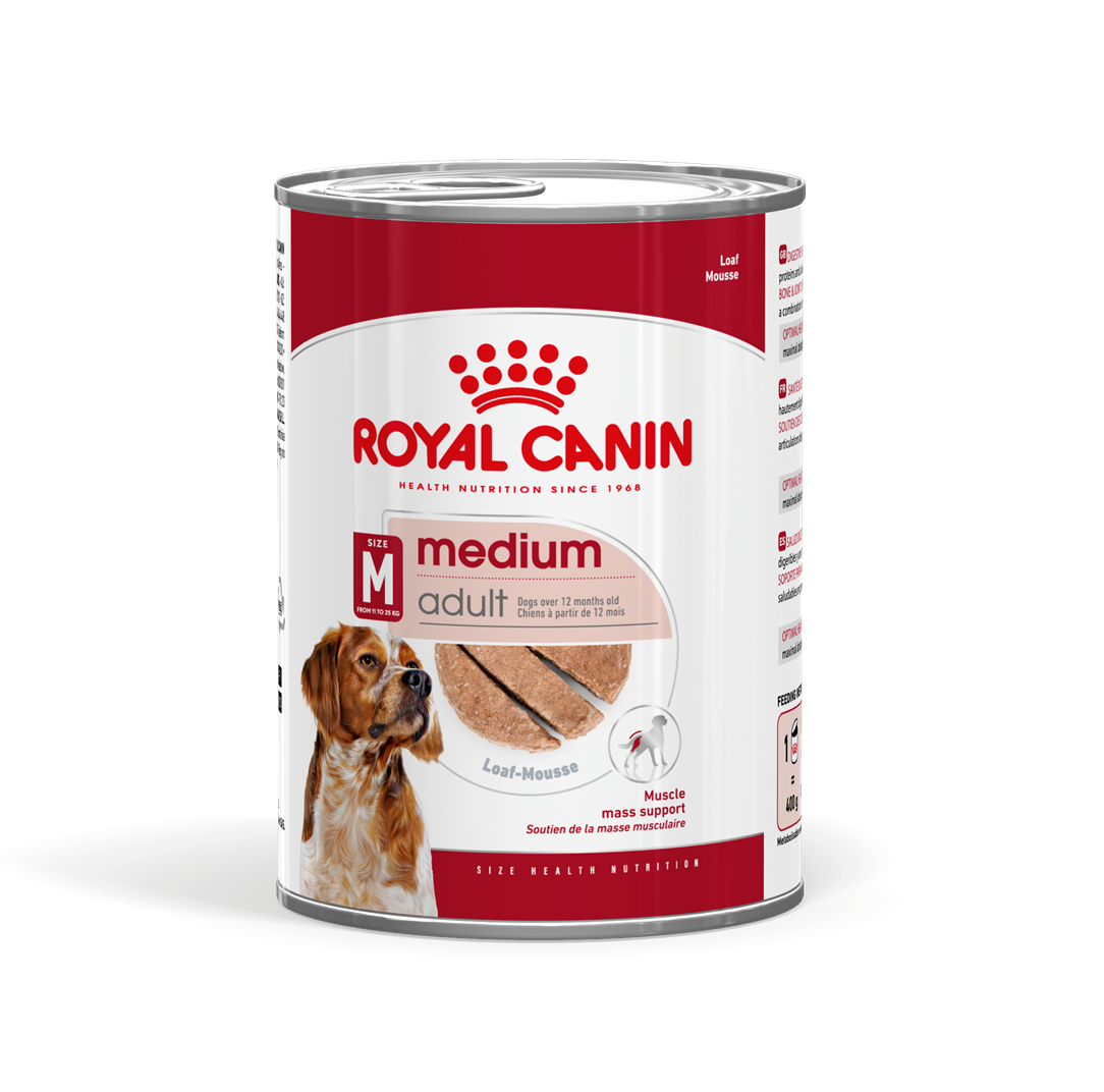 מגש 12 יחידות רויאל קנין שמורים לכלב מדיום אדולט