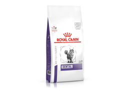 רויאל קנין מזון רפואי לחתול דנטל