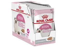 מארז 12 יחידות רויאל קנין פאוץ' לחתול קיטן פטה