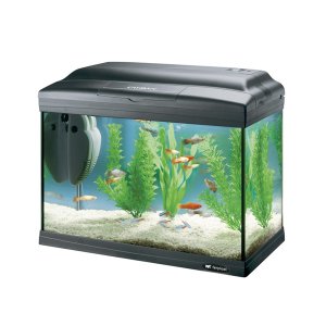 אקווריומים