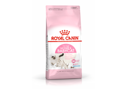 רויאל קנין מזון לחתול בייבי קט