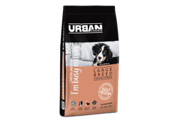 אורבן צ'ויס גור גזע גדול