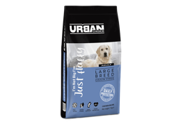 אורבן צ'ויס בוגר גזע גדול