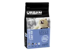 אורבן צ'ויס בוגר גזע קטן