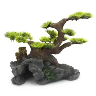 דקורציה לאקווריום