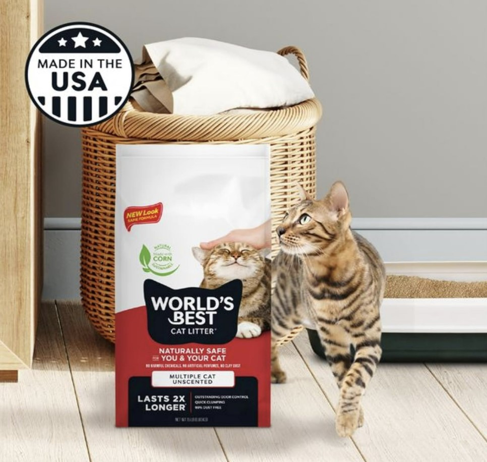 החול הטוב בעולם מתגבש למספר חתולים ללא ריח