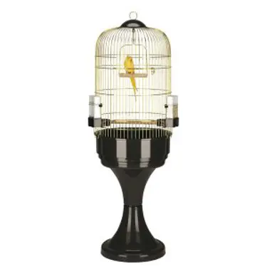 כלובים לתוכים וציפורים