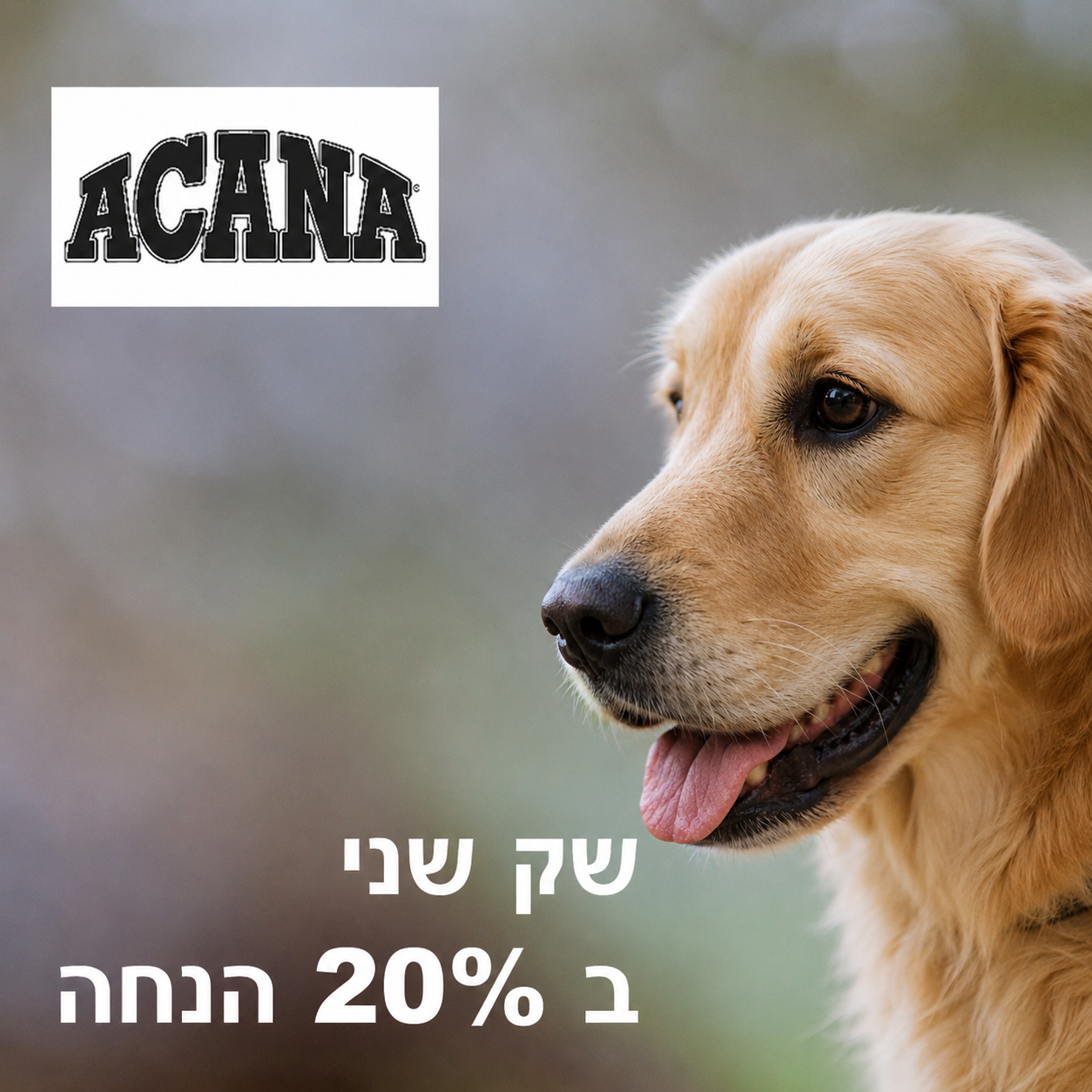 מבצע! אקאנה מזון יבש לכלב - שק שני ב-20% הנחה!  