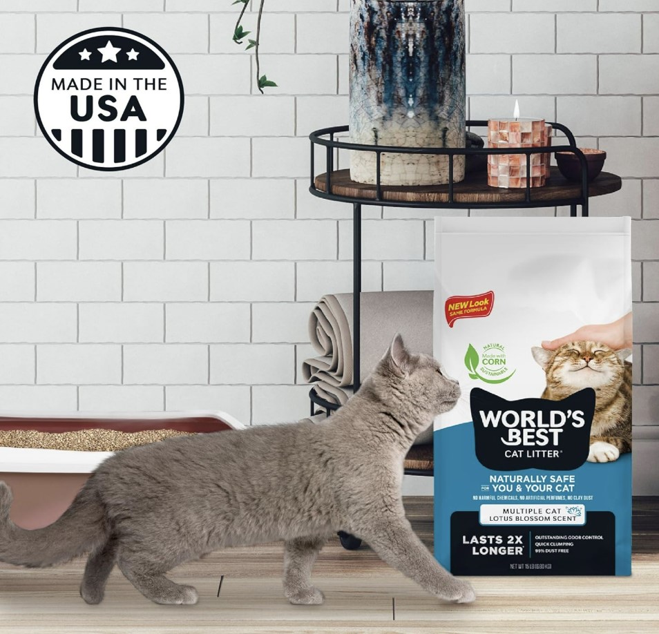 החול הטוב בעולם מתגבש לחתולים בניחוח לוטוס