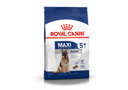רויאל קנין מזון לכלב בוגר 5+ מגזע גדול