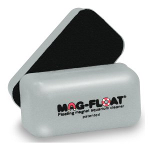 נקיון האקווריום