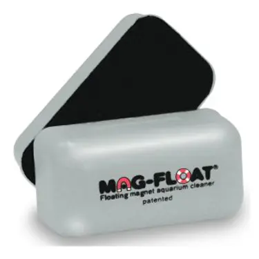 נקיון האקווריום