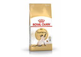 רויאל קנין מזון לחתול בוגר סיאמי