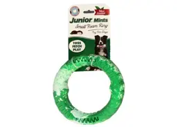 צעצוע פולר קצף בריח מנטה לכלב