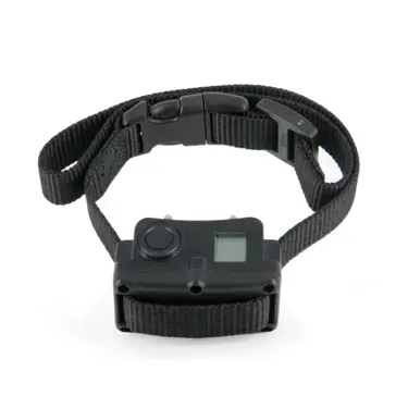 ציוד אילוף ומשמעת