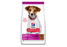 הילס מזון לכלב גור גזע קטן כבש