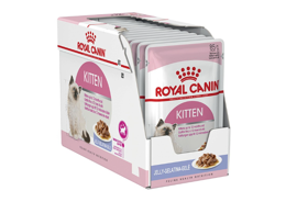 מארז 12 יחידות רויאל קנין פאוץ' לחתול קיטן ג'לי