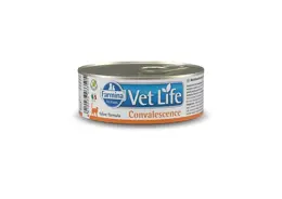 וט לייף מגש שימורים לחתול קונבלשנס